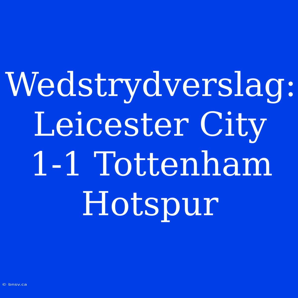 Wedstrydverslag: Leicester City 1-1 Tottenham Hotspur