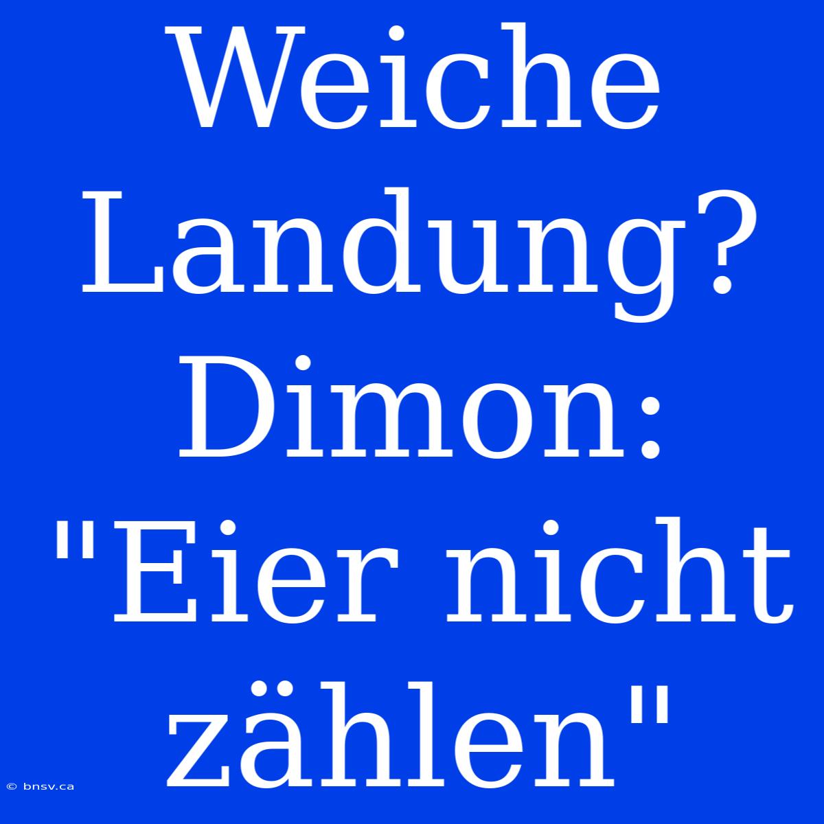 Weiche Landung? Dimon: 