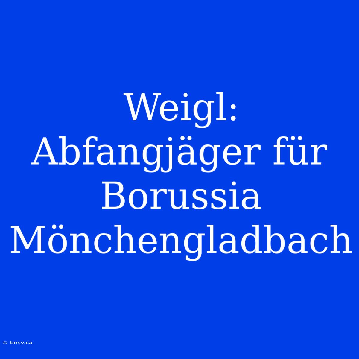 Weigl: Abfangjäger Für Borussia Mönchengladbach