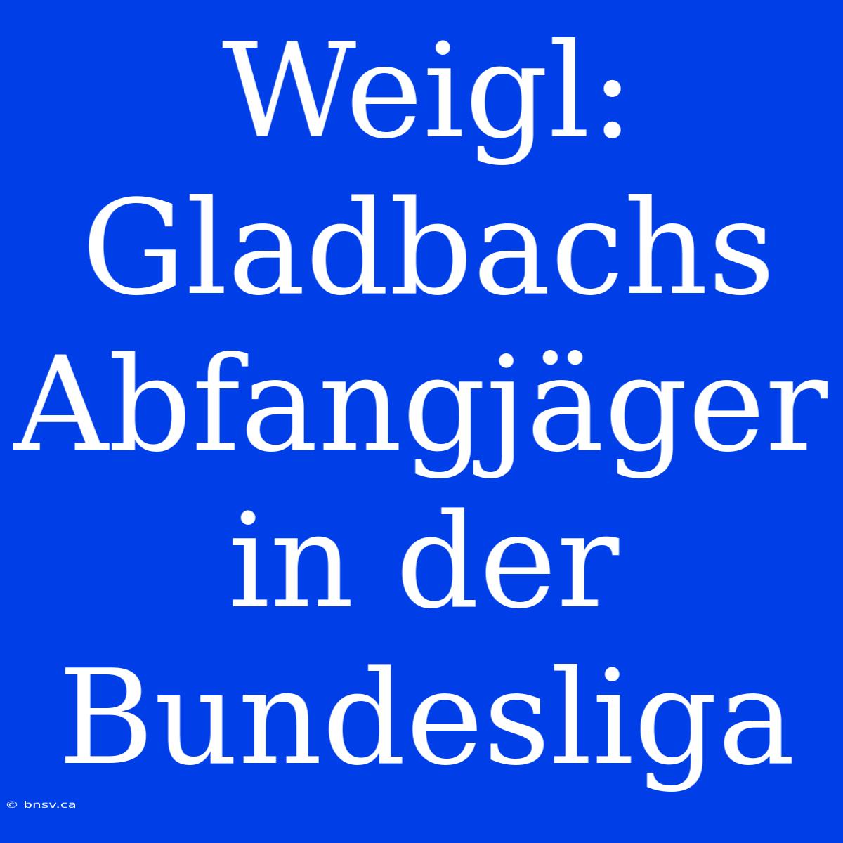 Weigl: Gladbachs Abfangjäger In Der Bundesliga