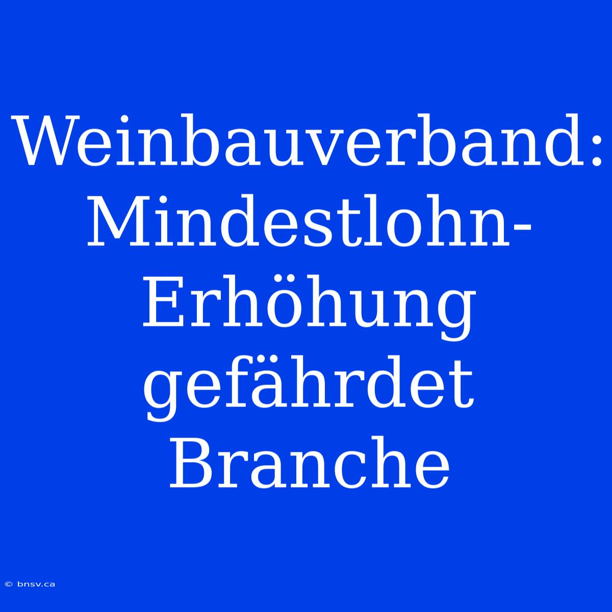 Weinbauverband: Mindestlohn-Erhöhung Gefährdet Branche