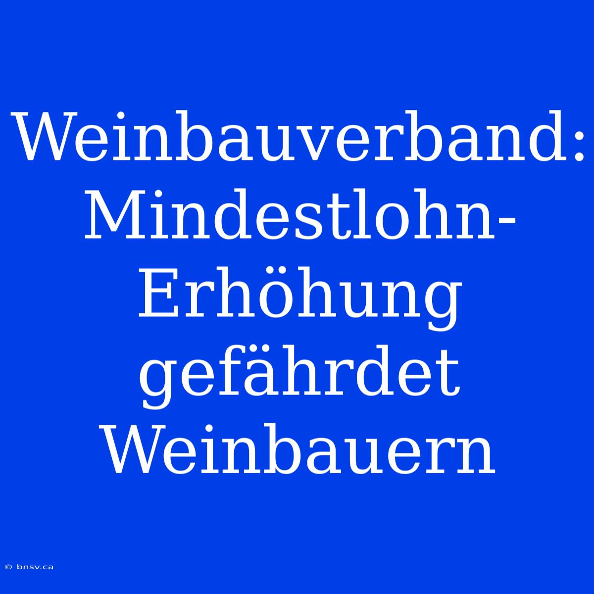 Weinbauverband: Mindestlohn-Erhöhung Gefährdet Weinbauern