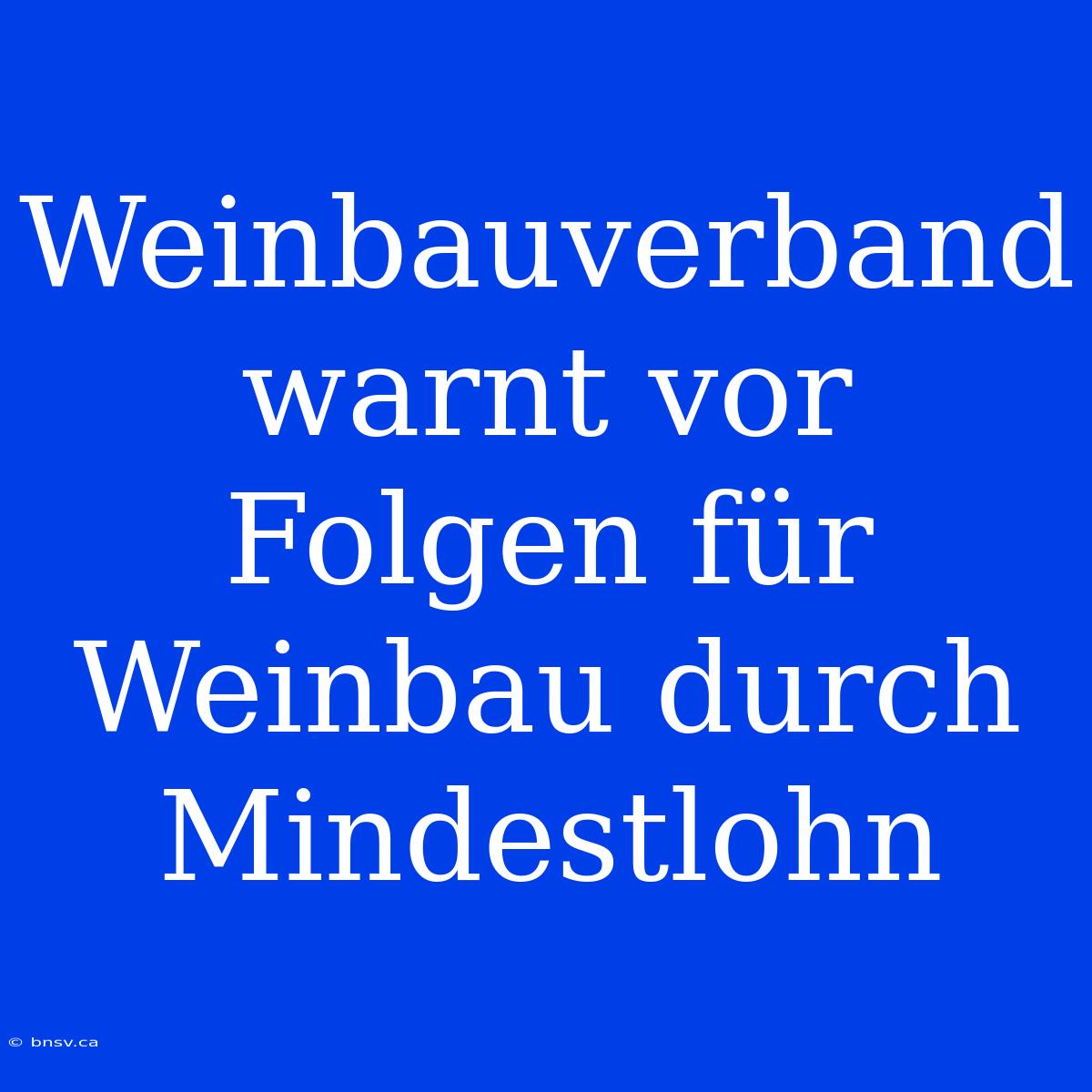 Weinbauverband Warnt Vor Folgen Für Weinbau Durch Mindestlohn