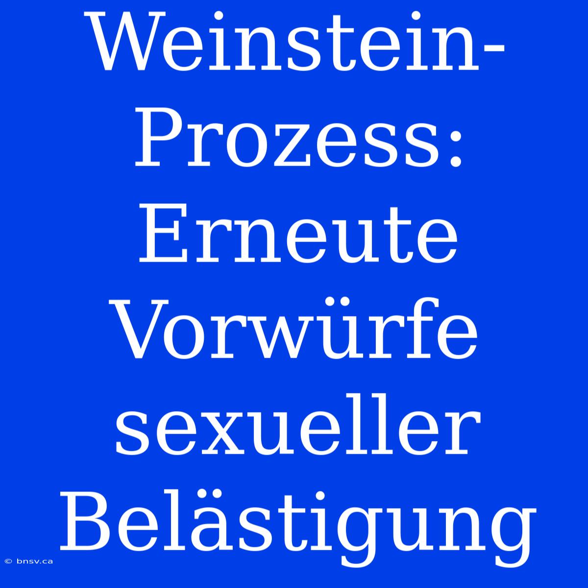 Weinstein-Prozess: Erneute Vorwürfe Sexueller Belästigung