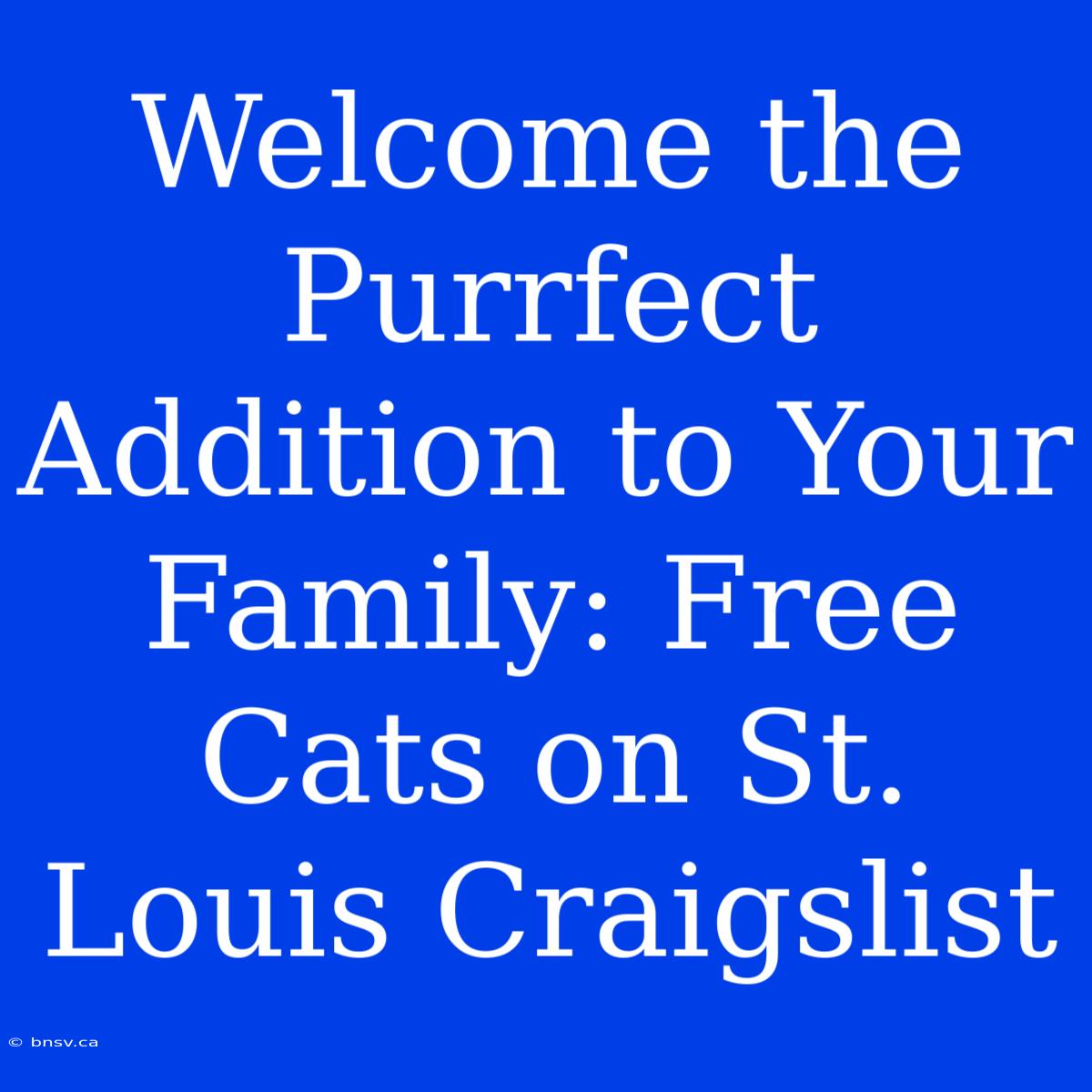 Welcome The Purrfect Addition To Your Family: Free Cats On St. Louis Craigslist