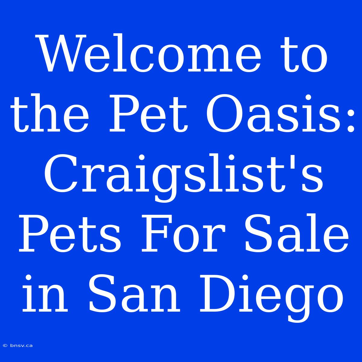 Welcome To The Pet Oasis: Craigslist's Pets For Sale In San Diego