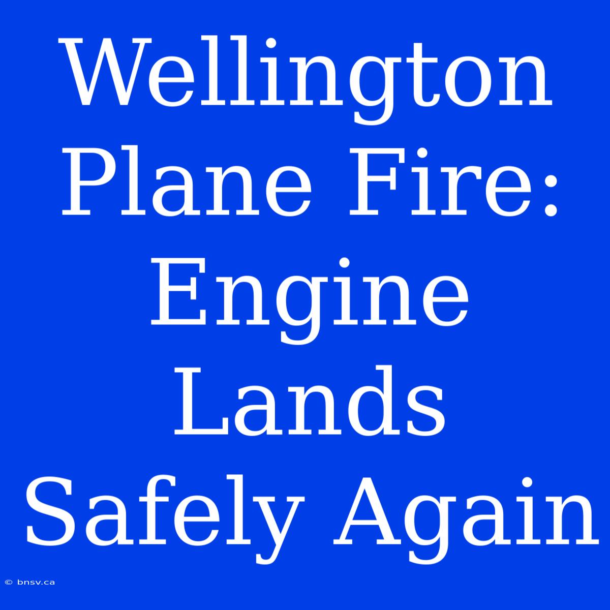 Wellington Plane Fire: Engine Lands Safely Again