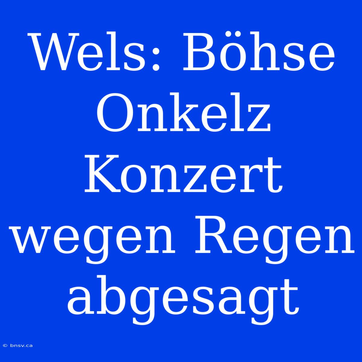 Wels: Böhse Onkelz Konzert Wegen Regen Abgesagt