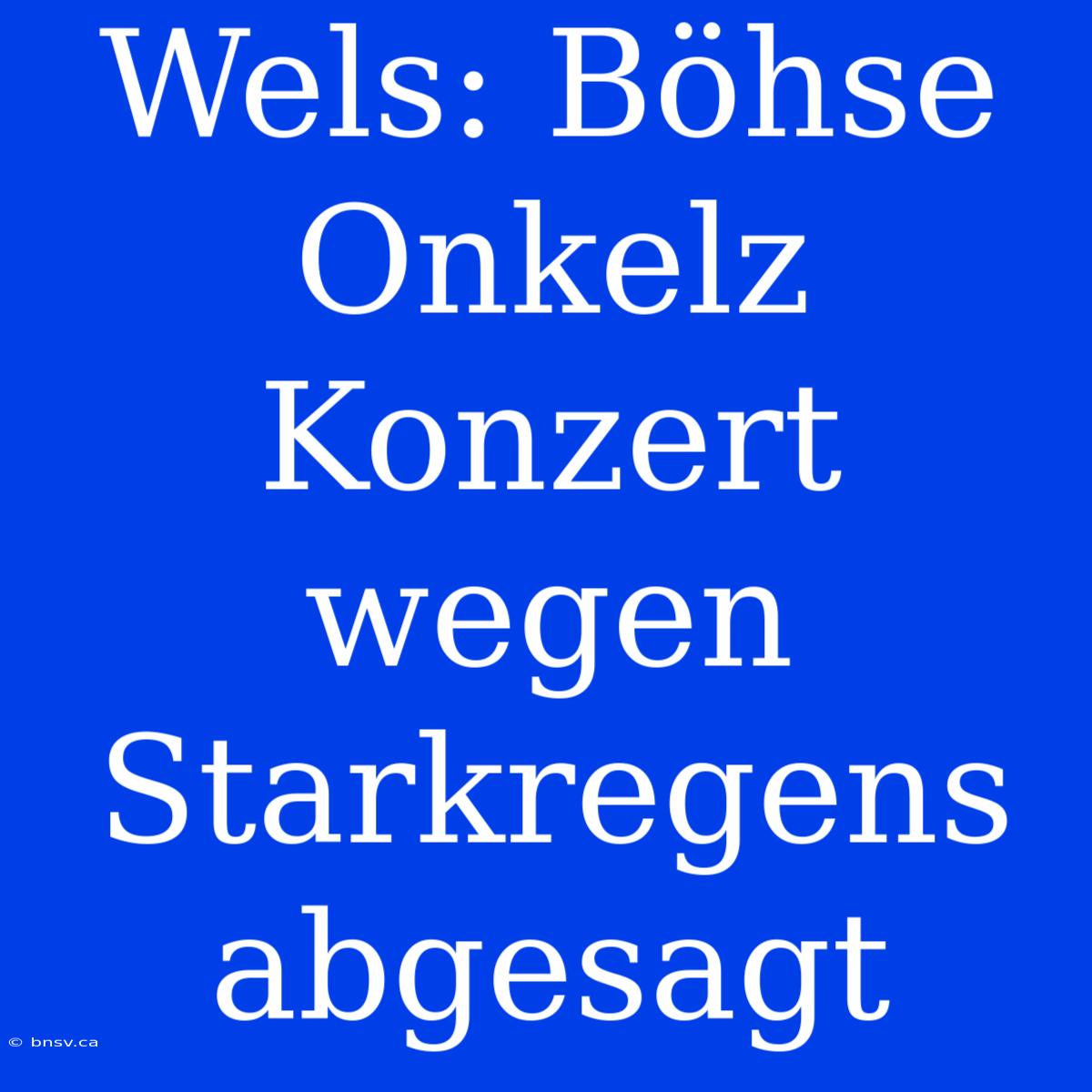 Wels: Böhse Onkelz Konzert Wegen Starkregens Abgesagt