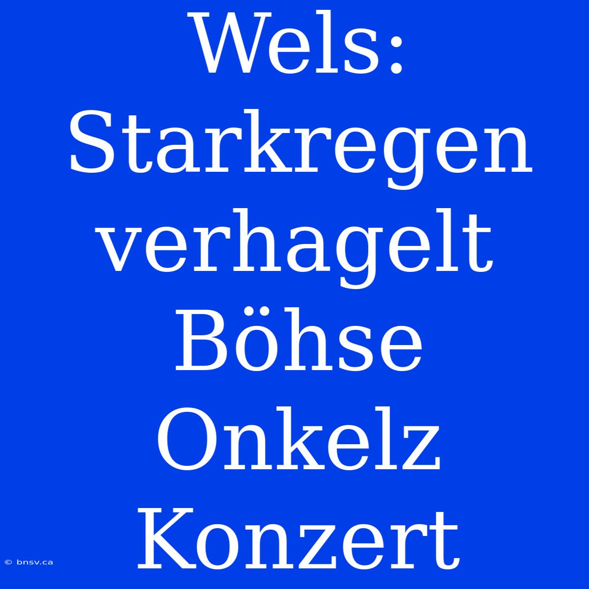 Wels: Starkregen Verhagelt Böhse Onkelz Konzert