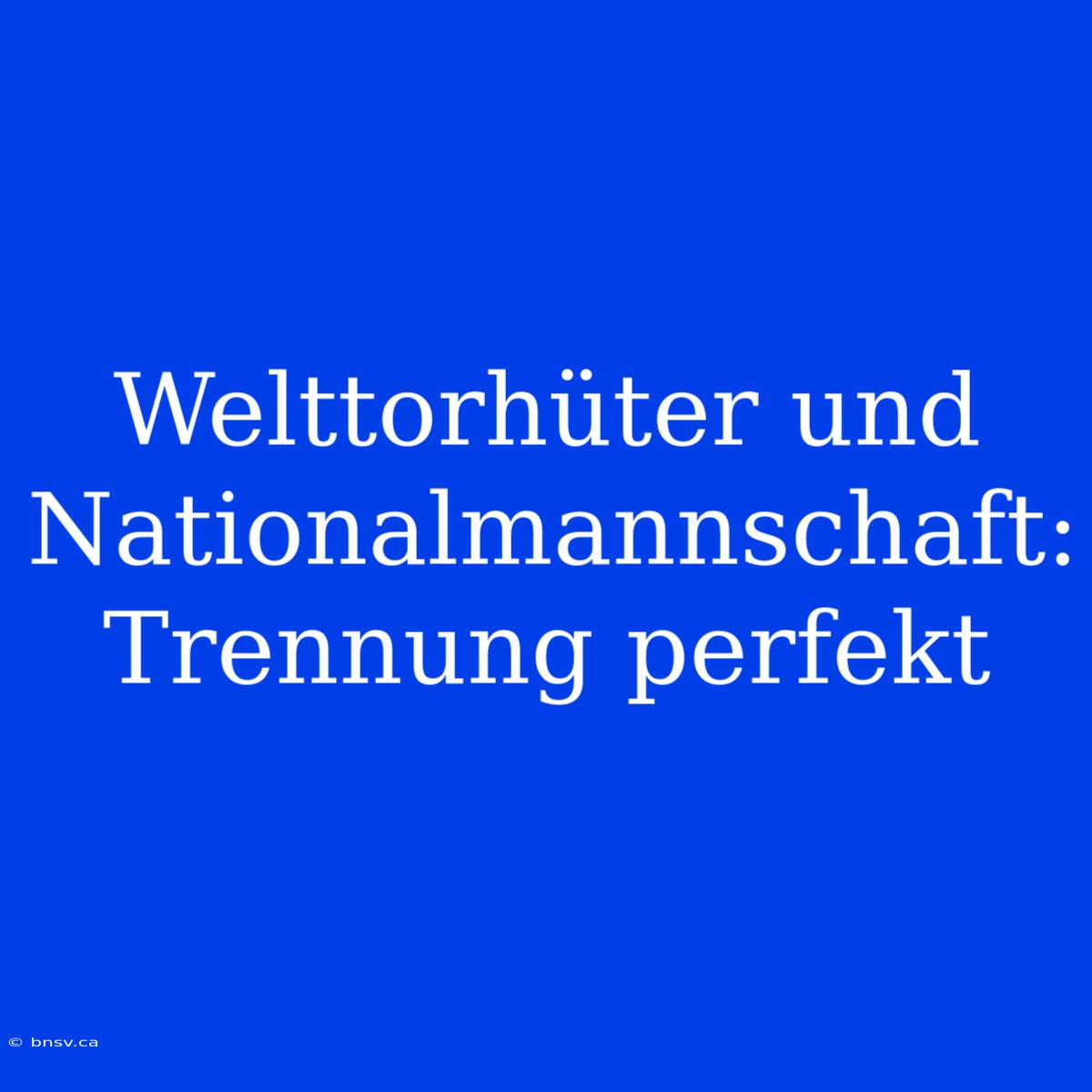 Welttorhüter Und Nationalmannschaft: Trennung Perfekt