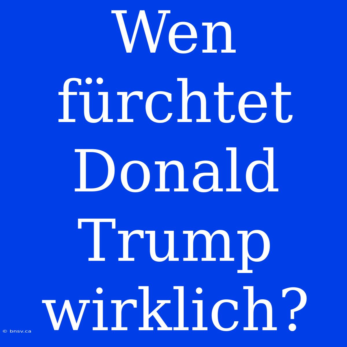 Wen Fürchtet Donald Trump Wirklich?