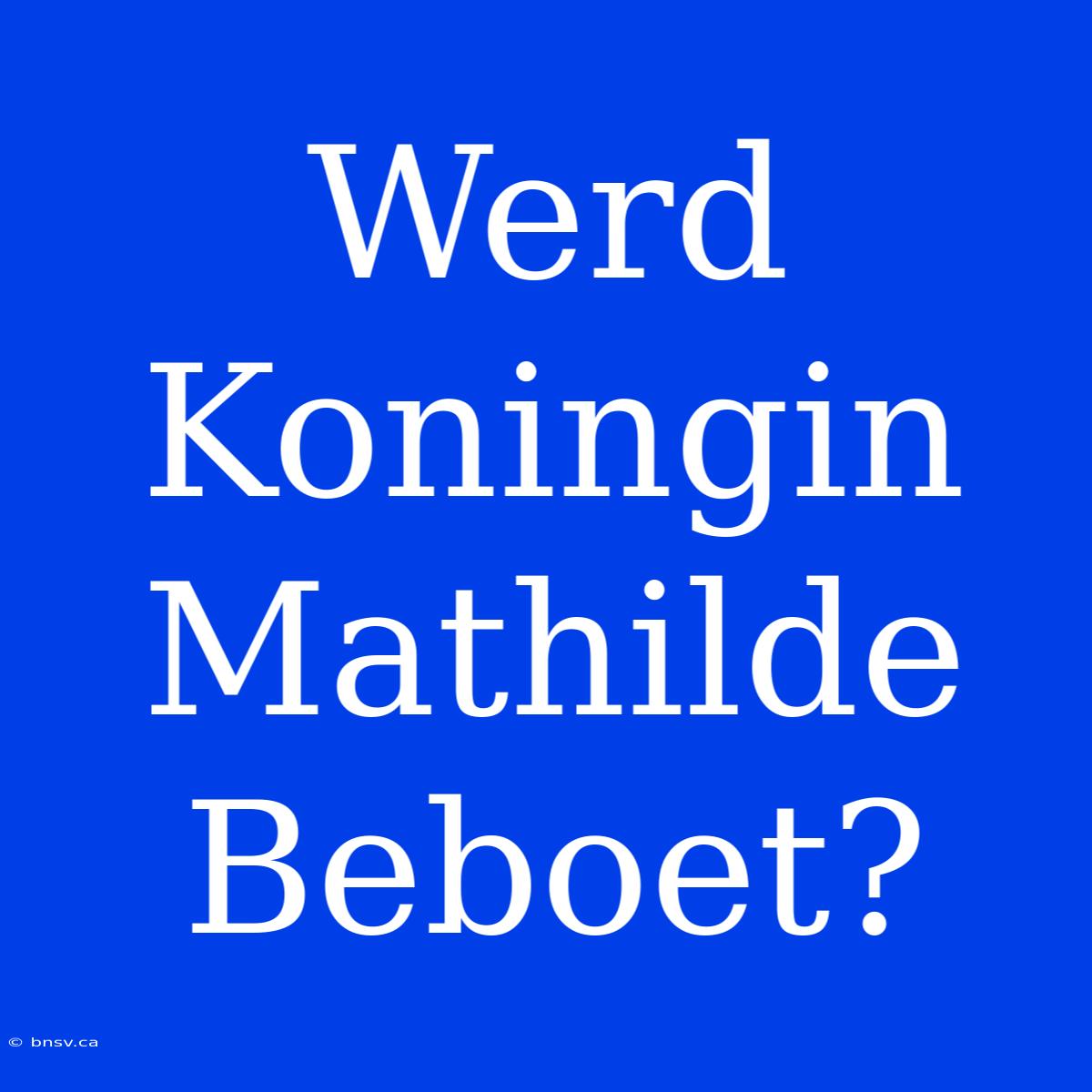 Werd Koningin Mathilde Beboet?