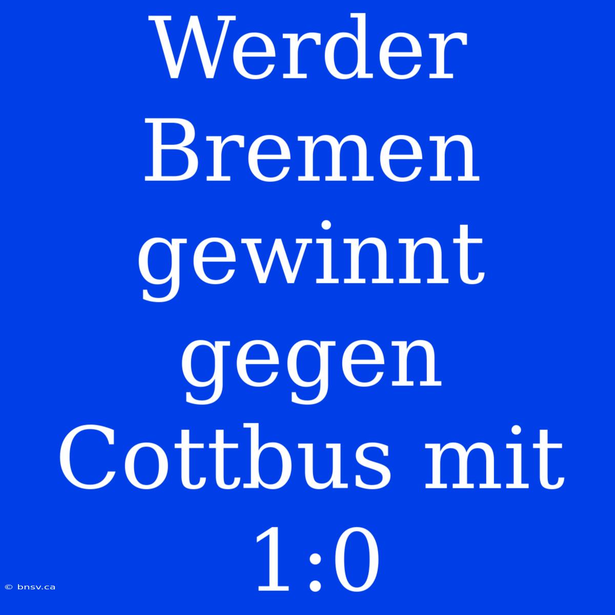 Werder Bremen Gewinnt Gegen Cottbus Mit 1:0