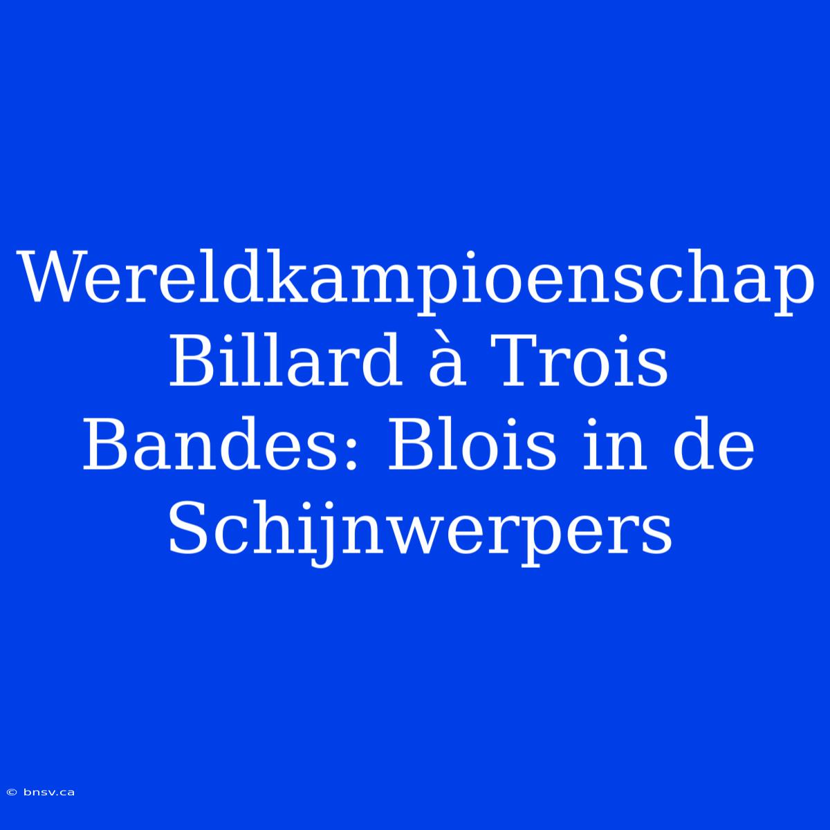 Wereldkampioenschap Billard À Trois Bandes: Blois In De Schijnwerpers