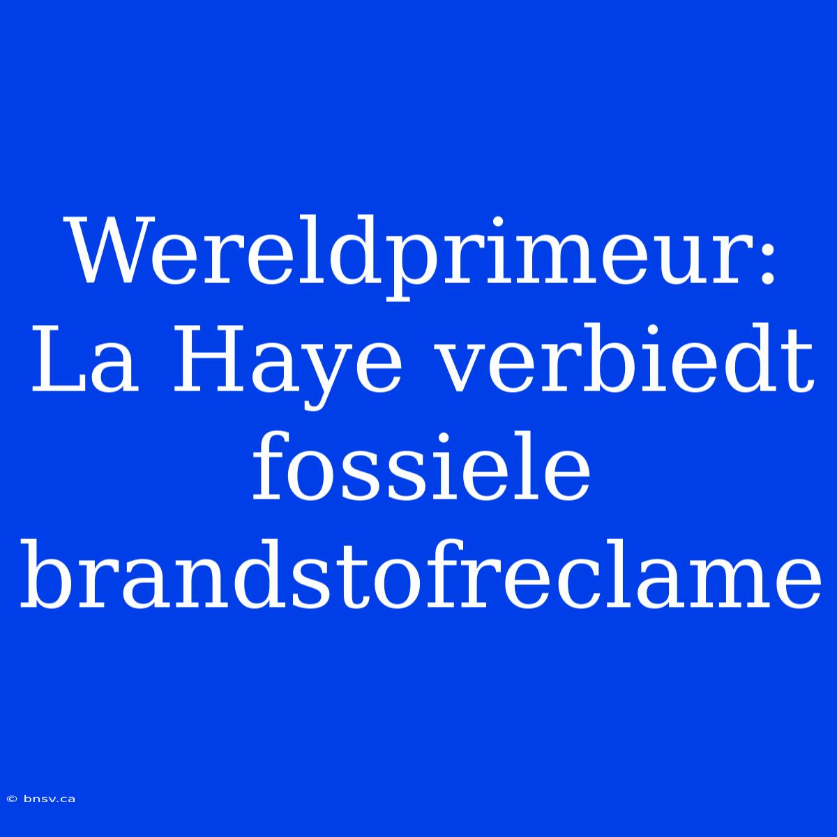 Wereldprimeur: La Haye Verbiedt Fossiele Brandstofreclame