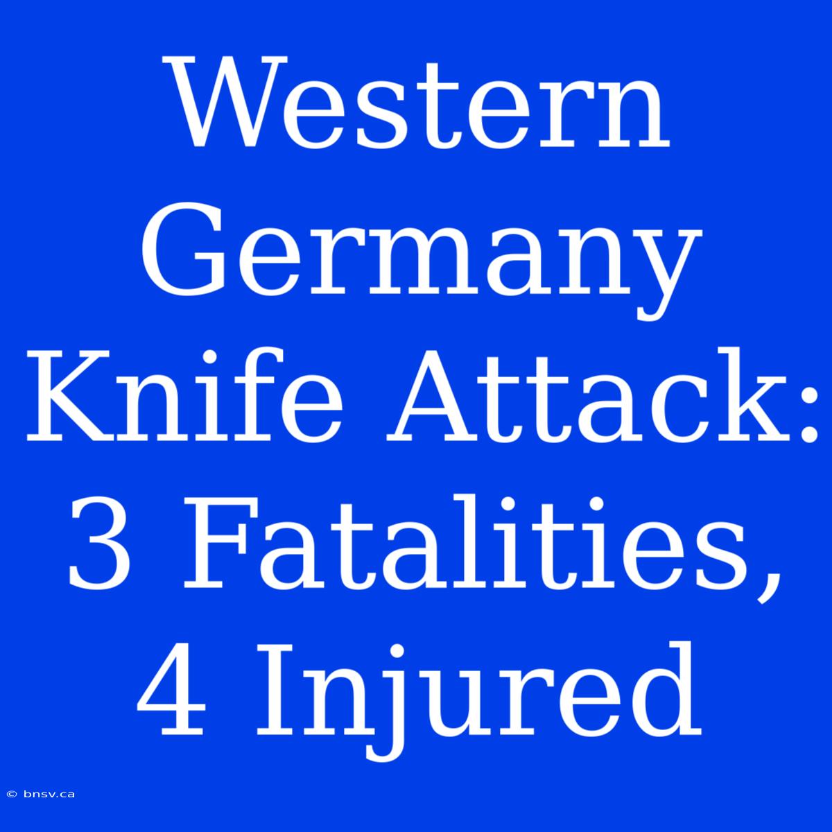 Western Germany Knife Attack: 3 Fatalities, 4 Injured