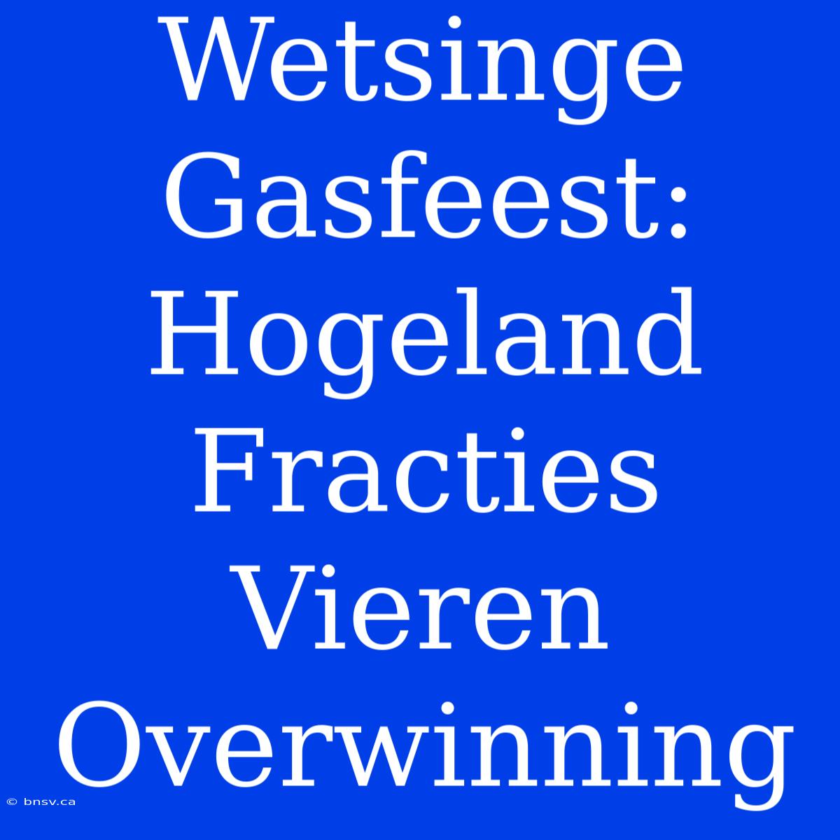 Wetsinge Gasfeest: Hogeland Fracties Vieren Overwinning