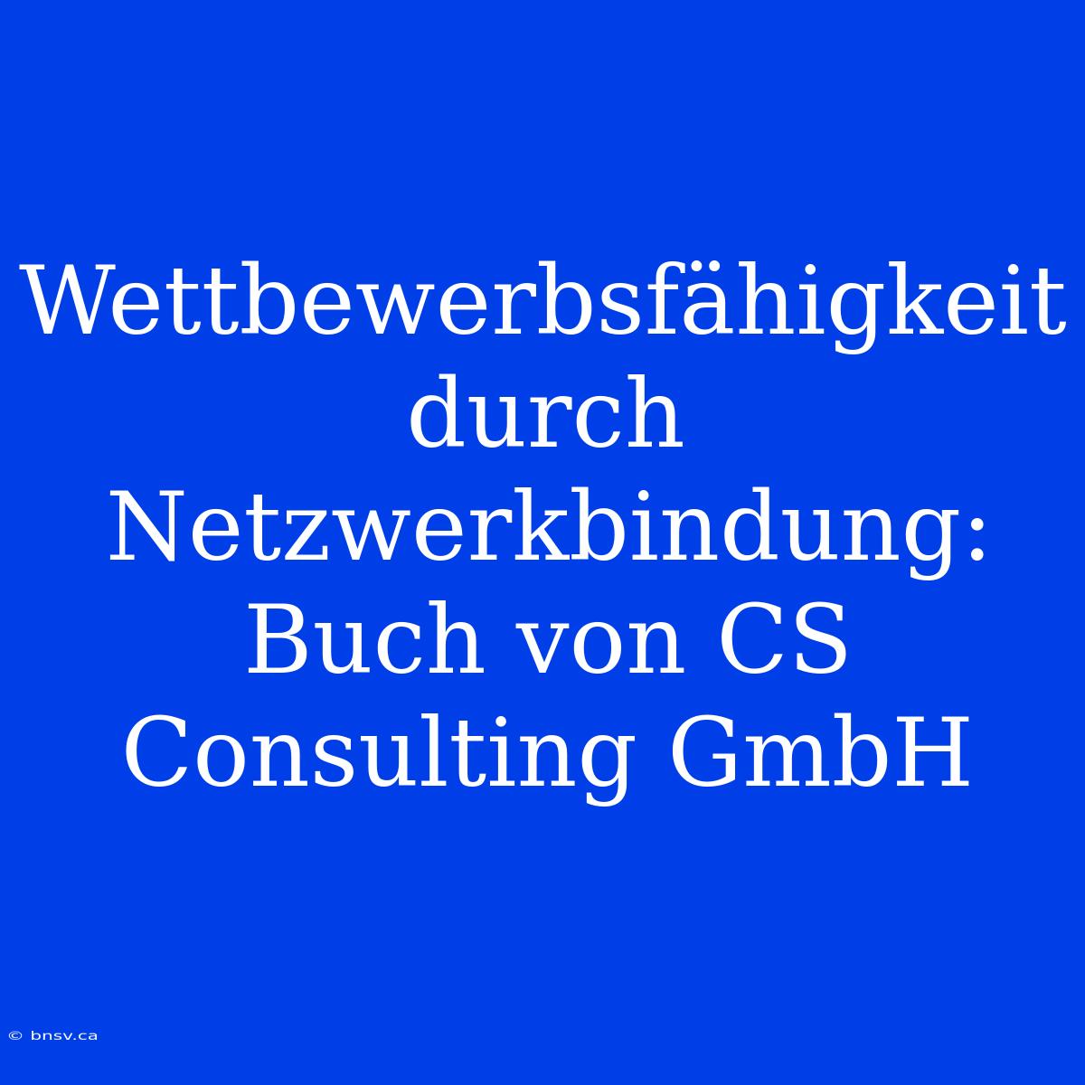 Wettbewerbsfähigkeit Durch Netzwerkbindung: Buch Von CS Consulting GmbH