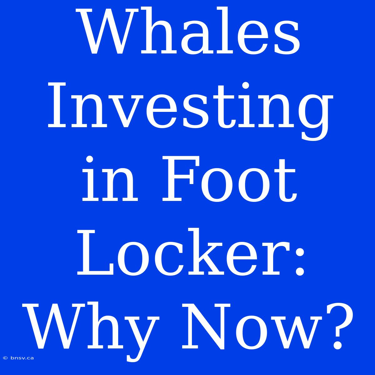 Whales Investing In Foot Locker: Why Now?