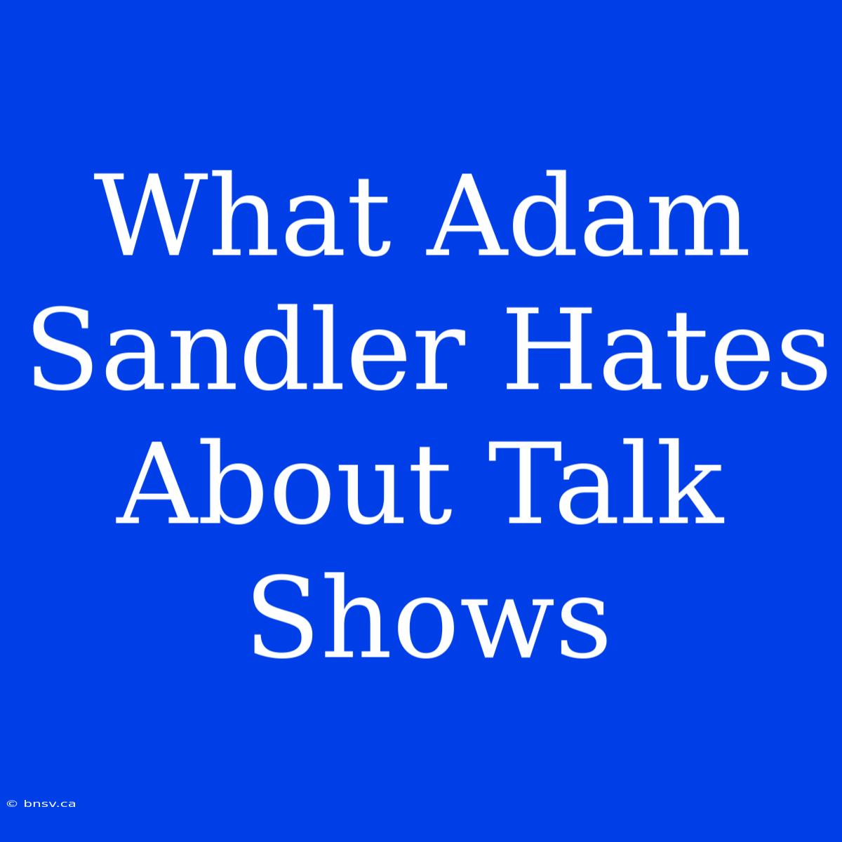 What Adam Sandler Hates About Talk Shows