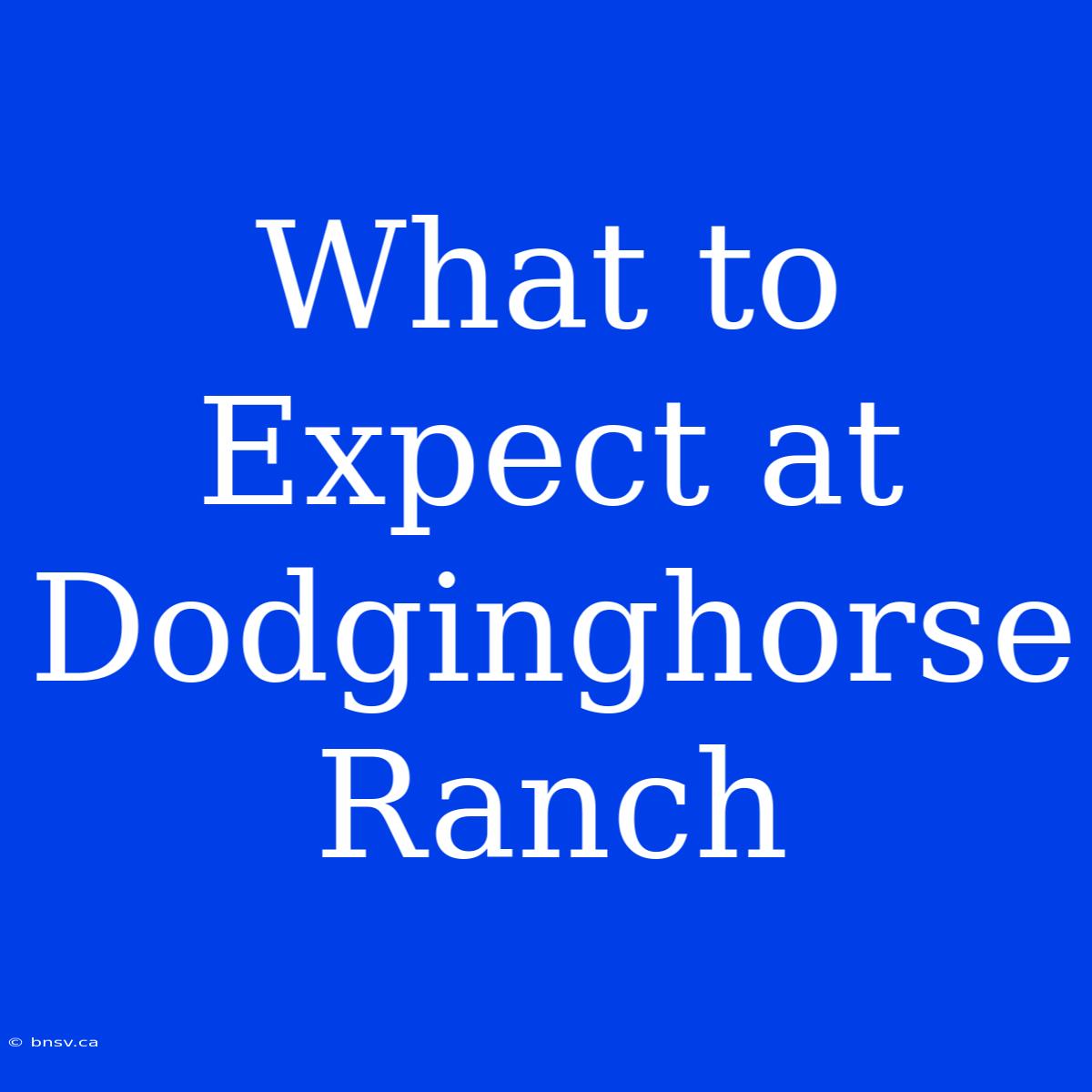 What To Expect At Dodginghorse Ranch