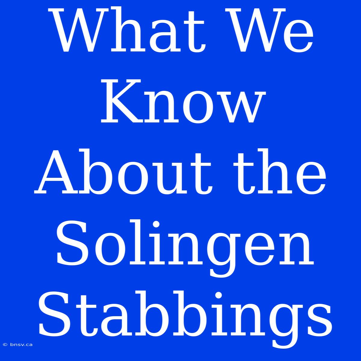 What We Know About The Solingen Stabbings