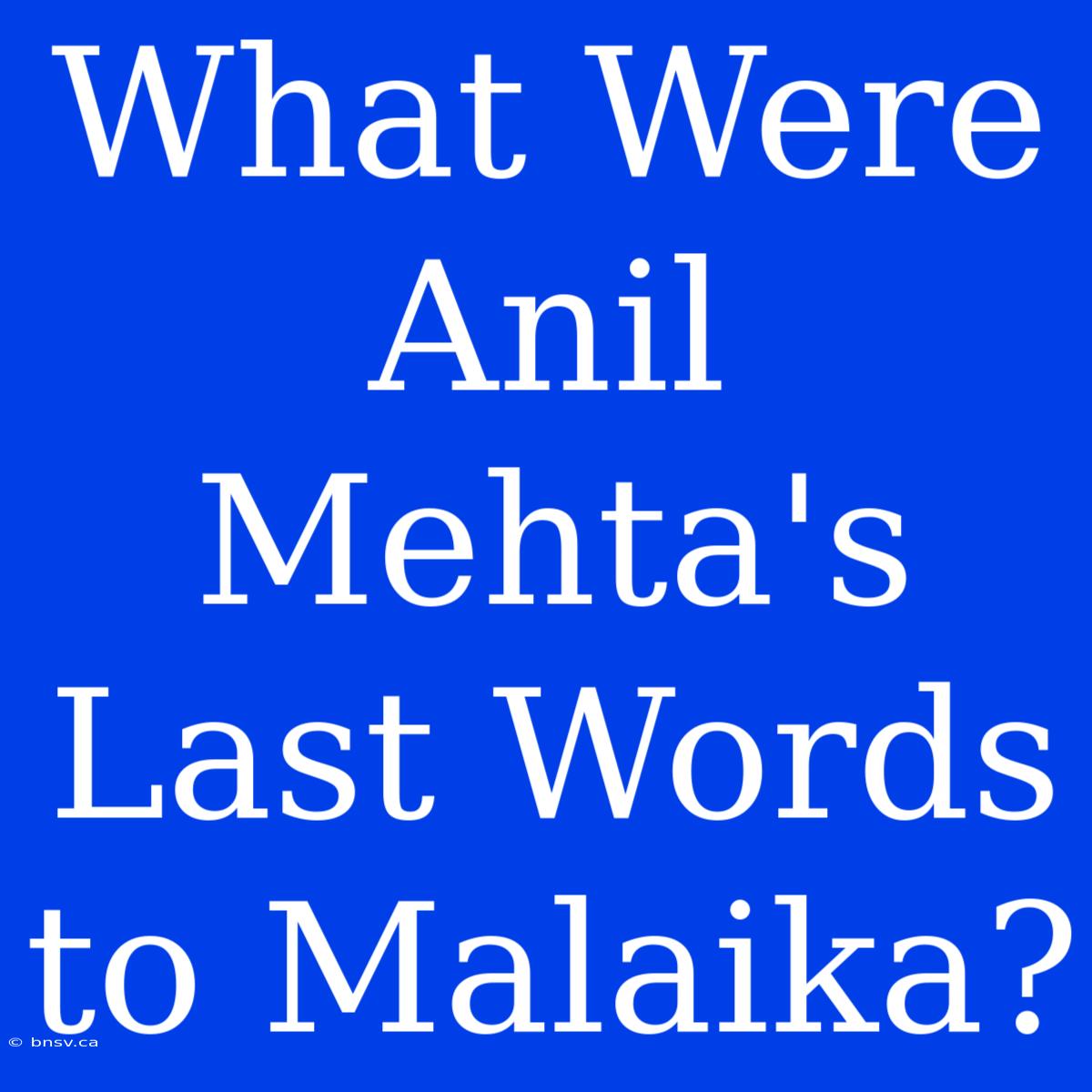 What Were Anil Mehta's Last Words To Malaika?