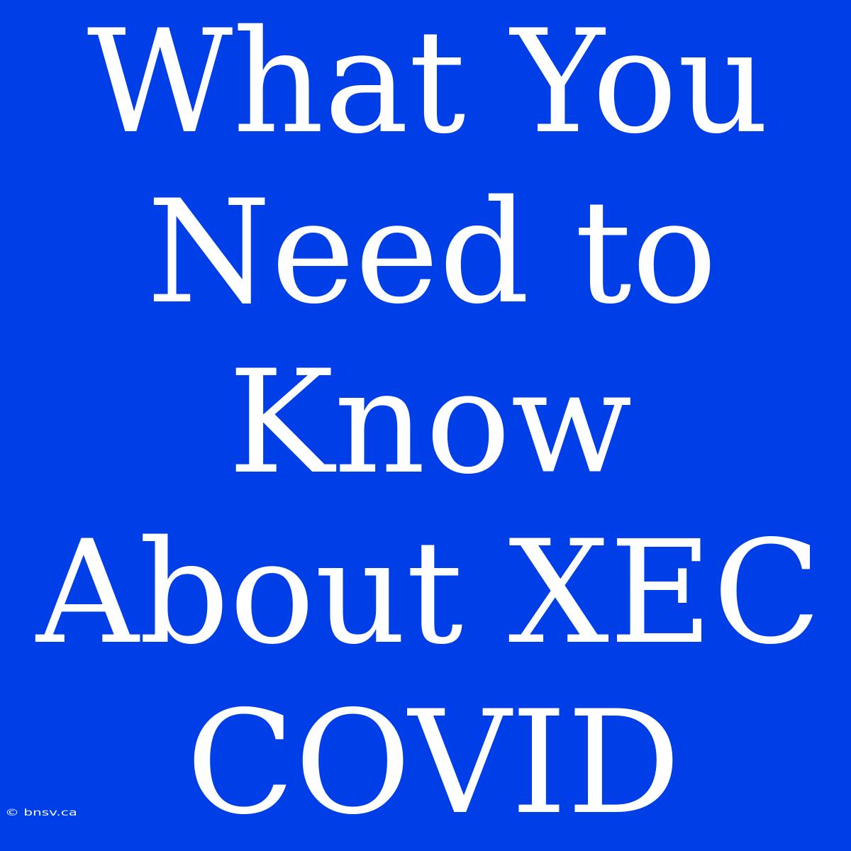 What You Need To Know About XEC COVID