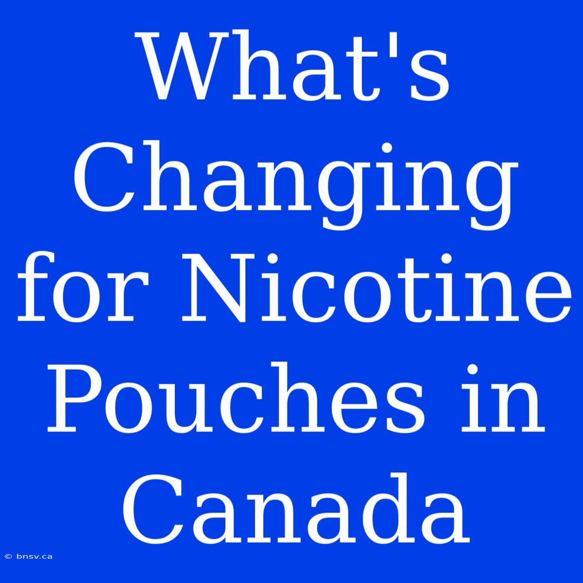 What's Changing For Nicotine Pouches In Canada