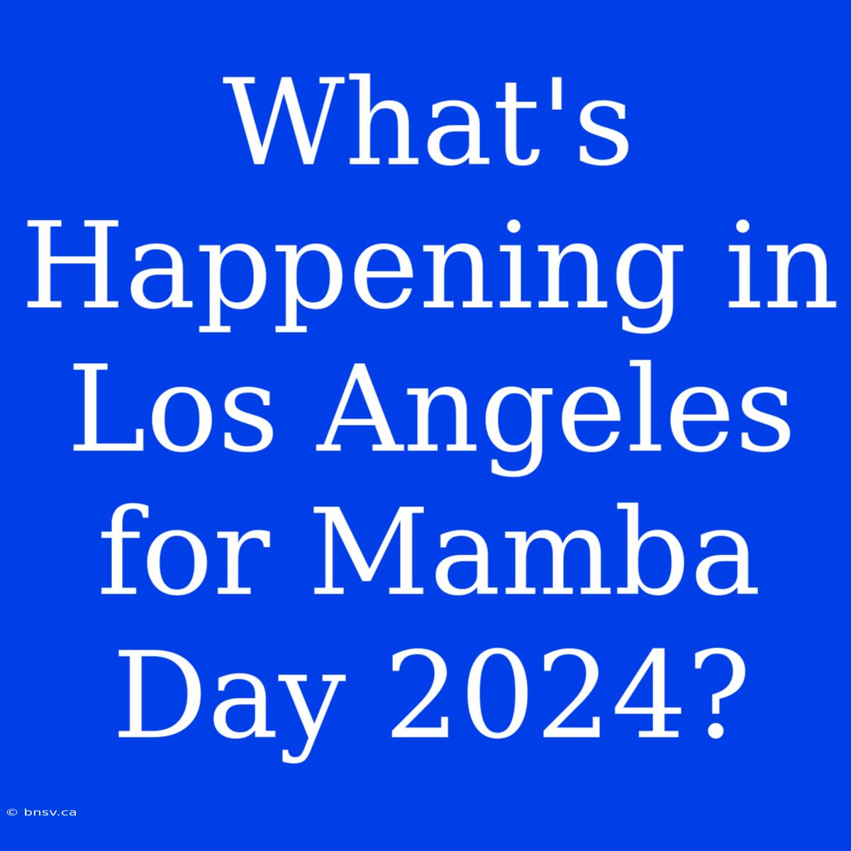 What's Happening In Los Angeles For Mamba Day 2024?