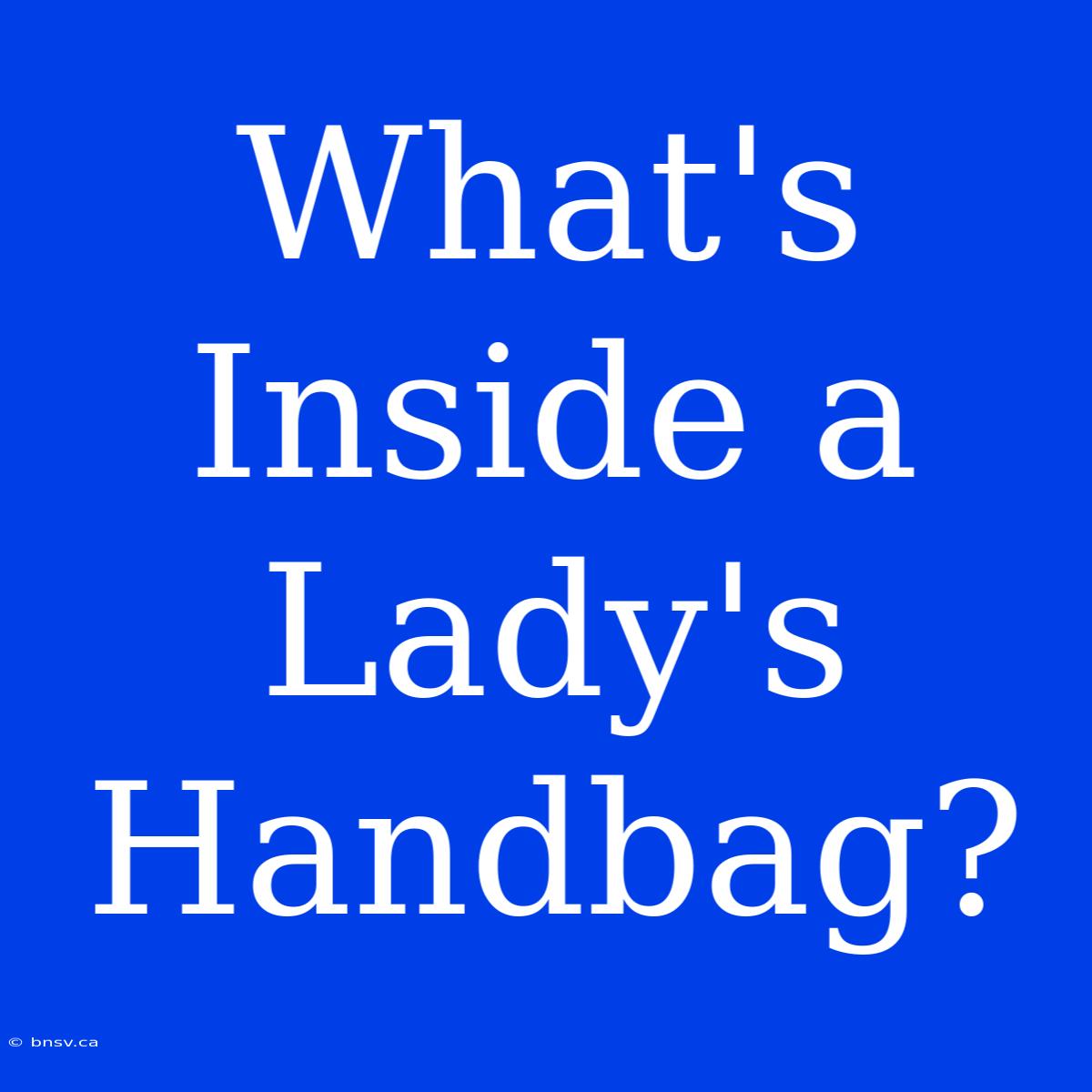 What's Inside A Lady's Handbag?