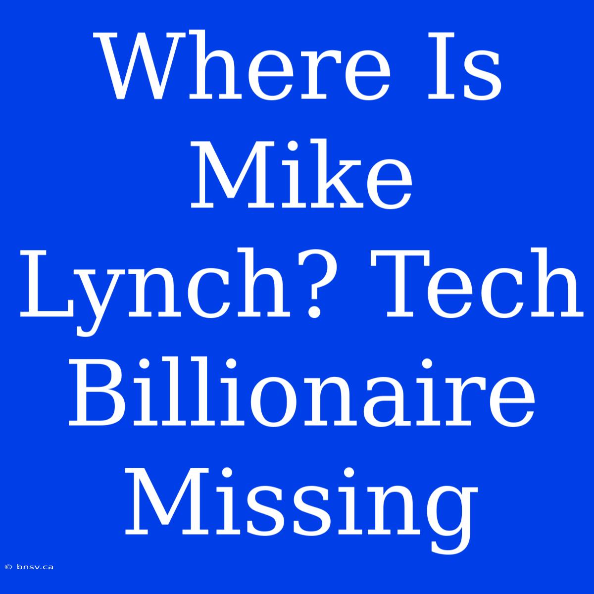 Where Is Mike Lynch? Tech Billionaire Missing