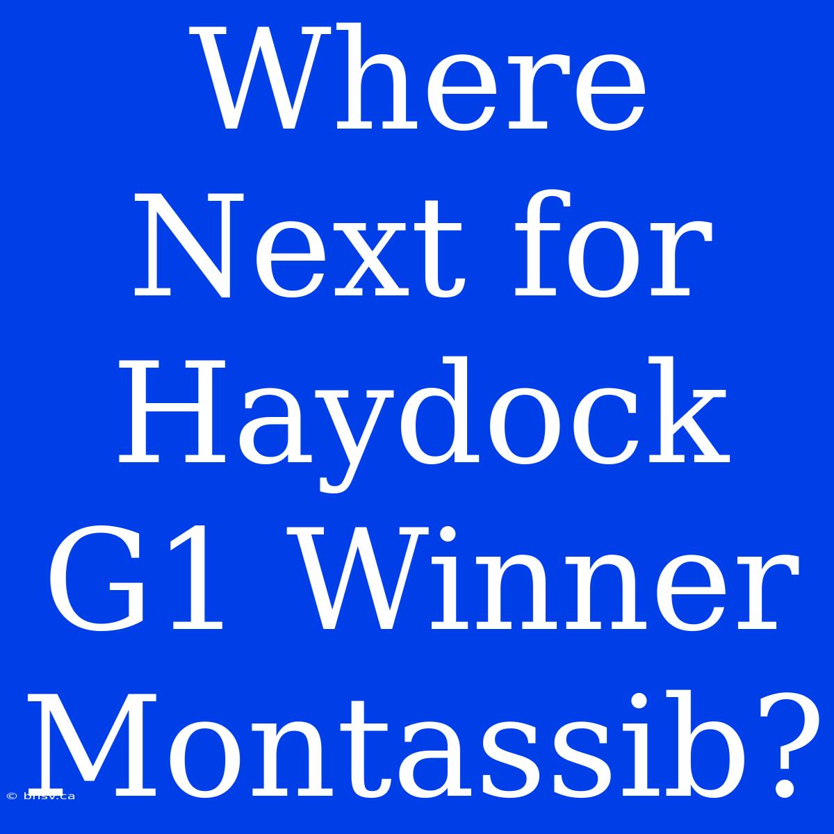 Where Next For Haydock G1 Winner Montassib?