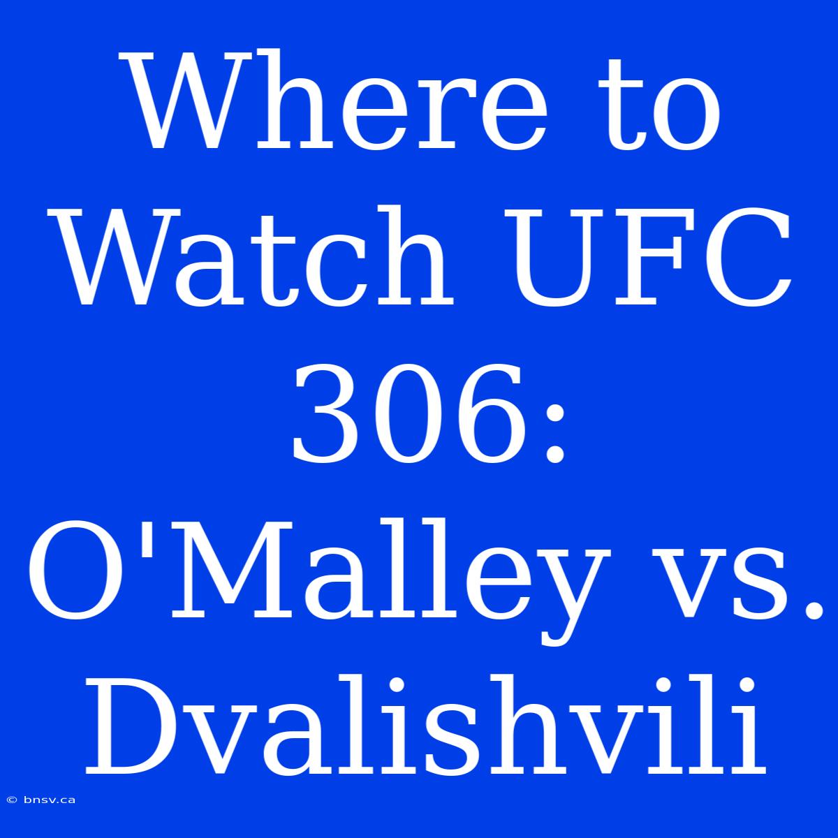 Where To Watch UFC 306: O'Malley Vs. Dvalishvili