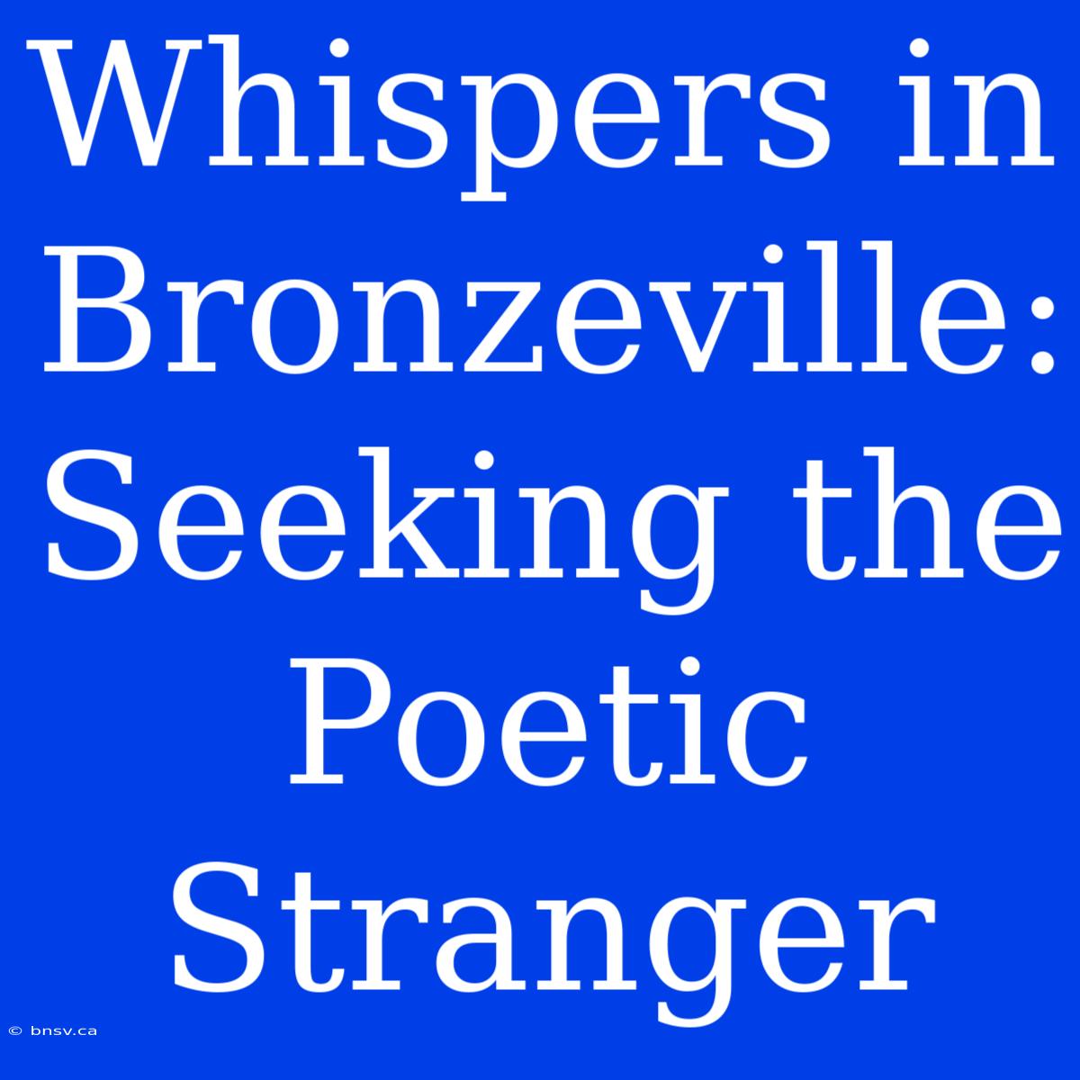 Whispers In Bronzeville: Seeking The Poetic Stranger