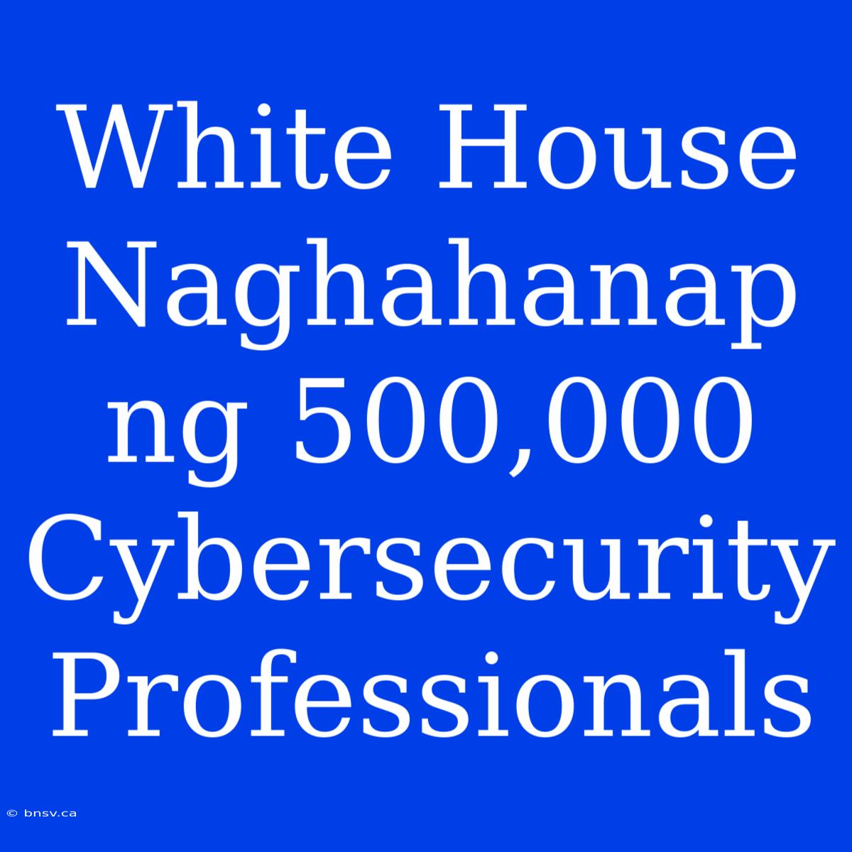 White House Naghahanap Ng 500,000 Cybersecurity Professionals