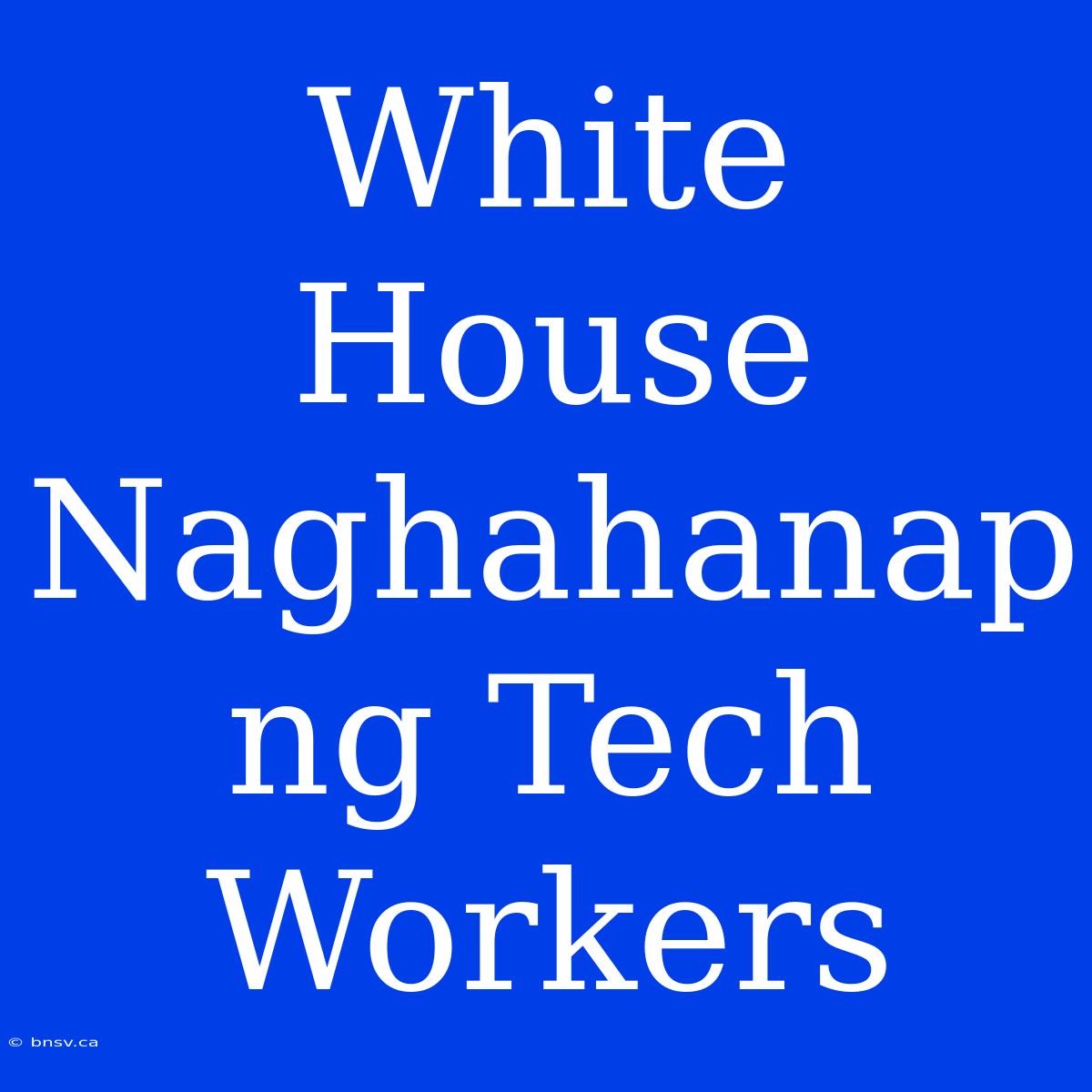 White House Naghahanap Ng Tech Workers