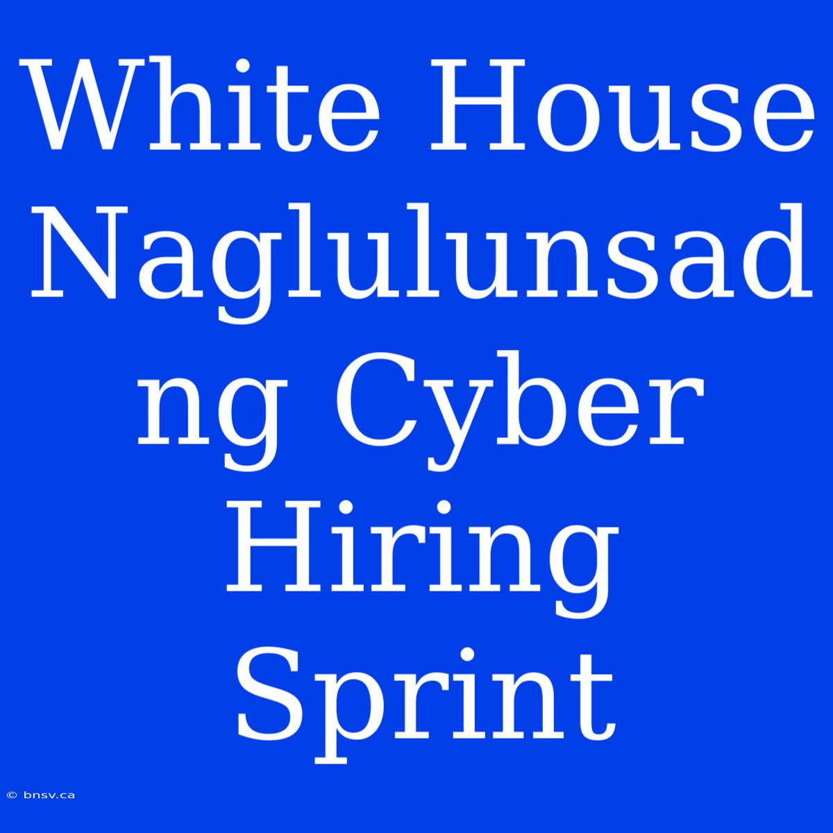 White House Naglulunsad Ng Cyber Hiring Sprint