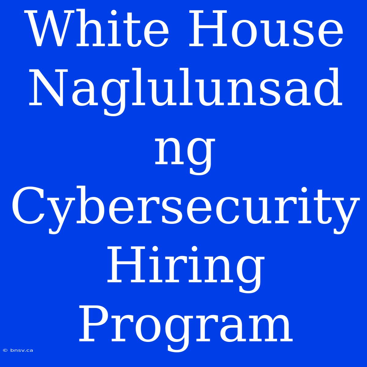 White House Naglulunsad Ng Cybersecurity Hiring Program