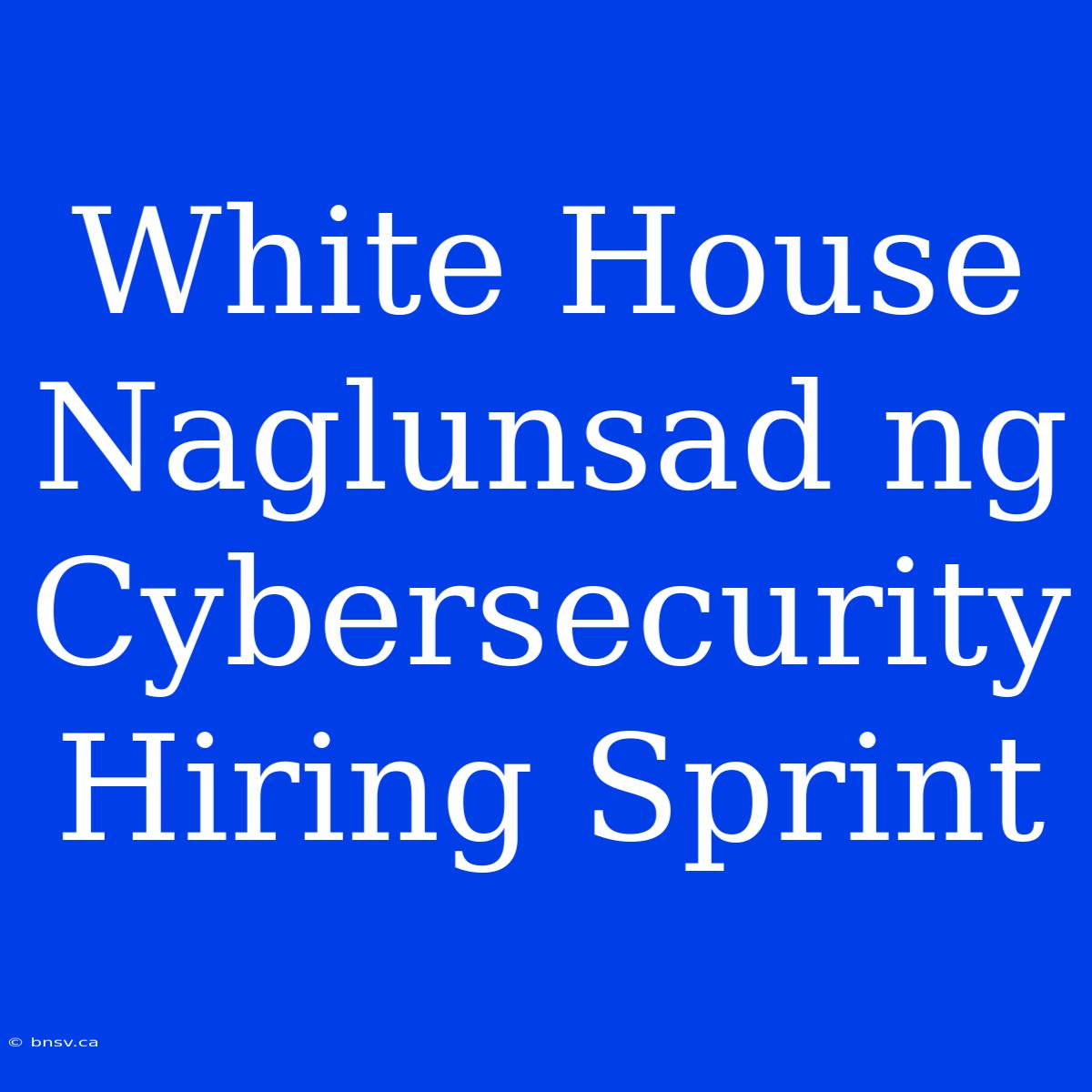 White House Naglunsad Ng Cybersecurity Hiring Sprint