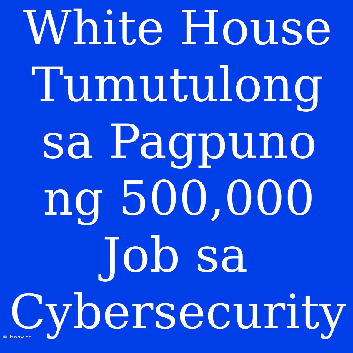 White House Tumutulong Sa Pagpuno Ng 500,000 Job Sa Cybersecurity