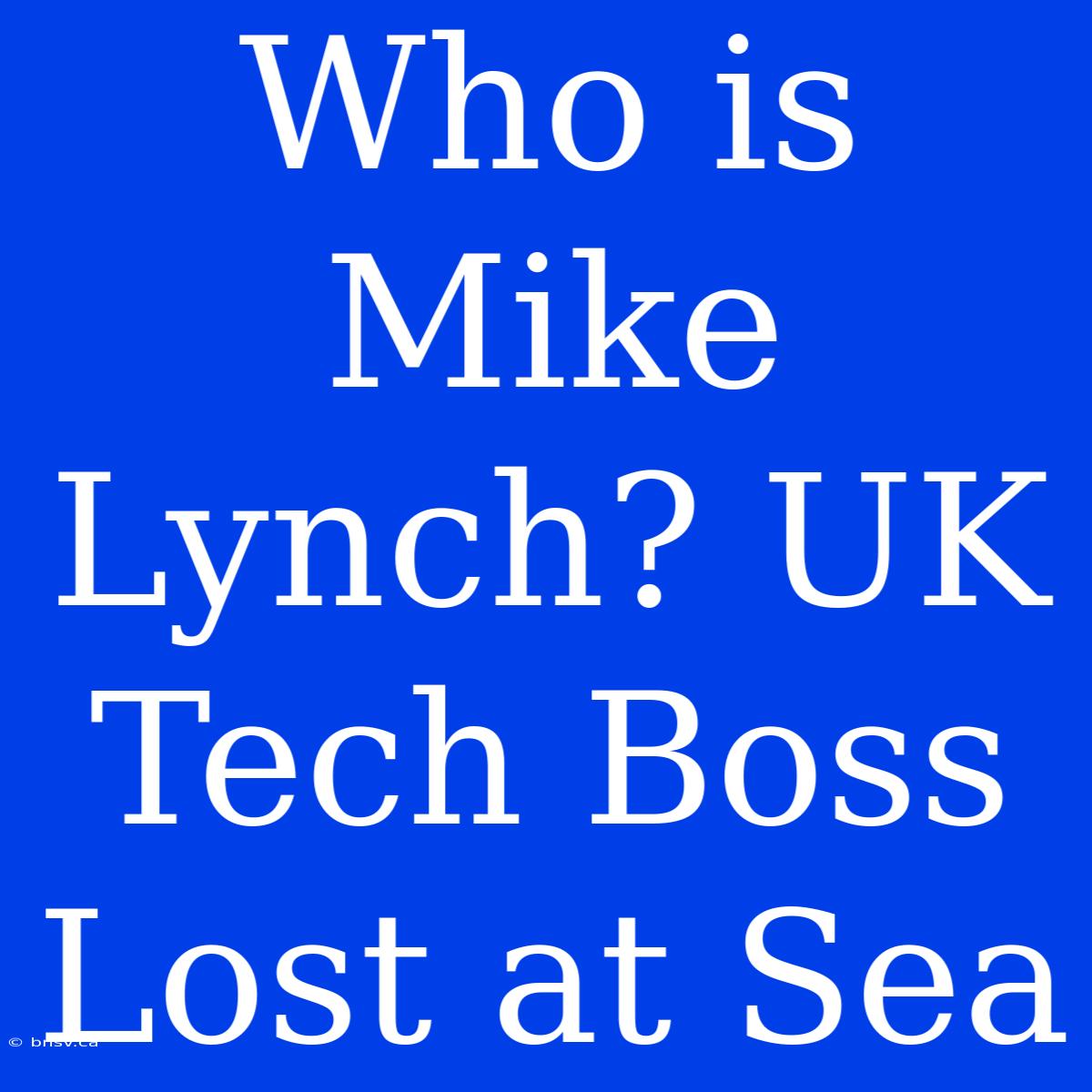 Who Is Mike Lynch? UK Tech Boss Lost At Sea