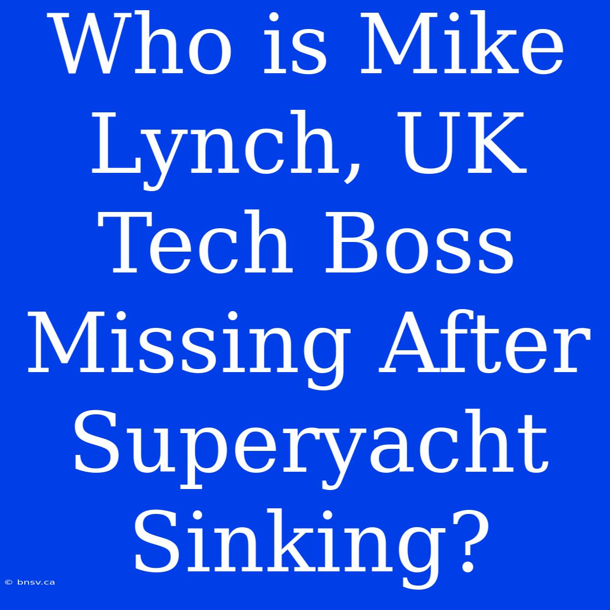 Who Is Mike Lynch, UK Tech Boss Missing After Superyacht Sinking?