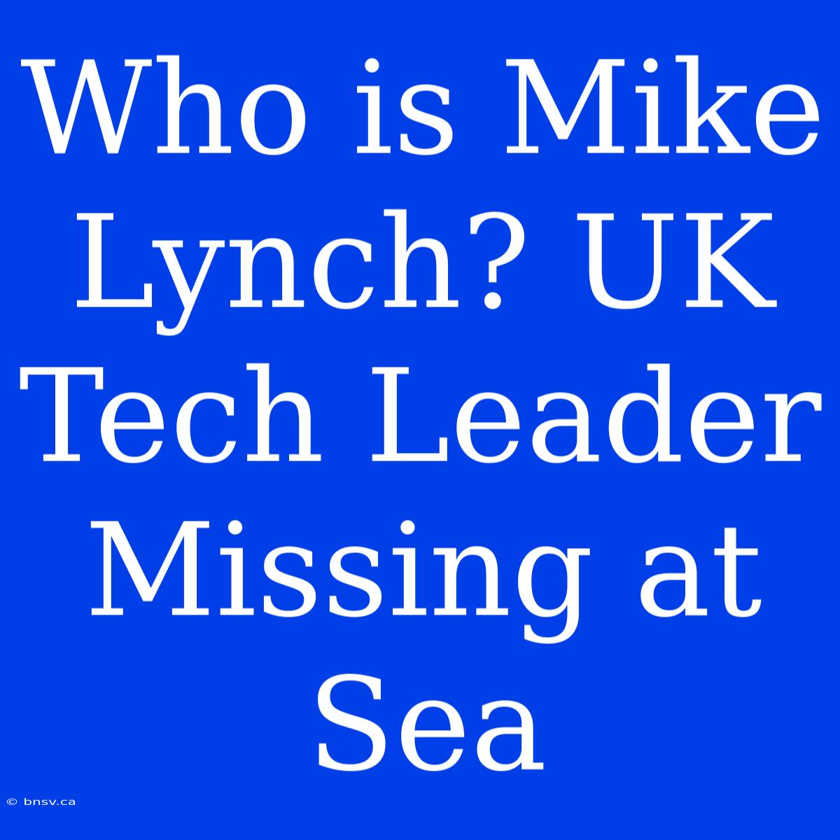 Who Is Mike Lynch? UK Tech Leader Missing At Sea