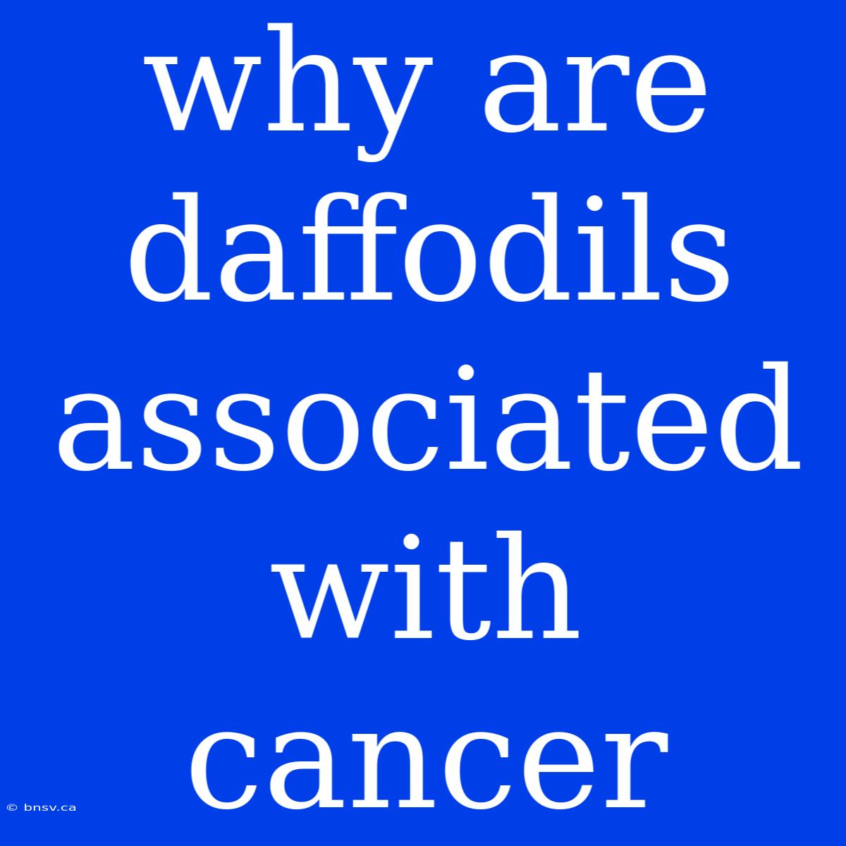 Why Are Daffodils Associated With Cancer