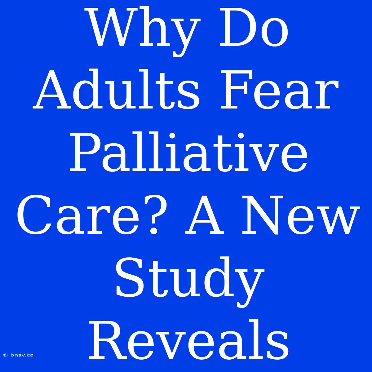 Why Do Adults Fear Palliative Care? A New Study Reveals