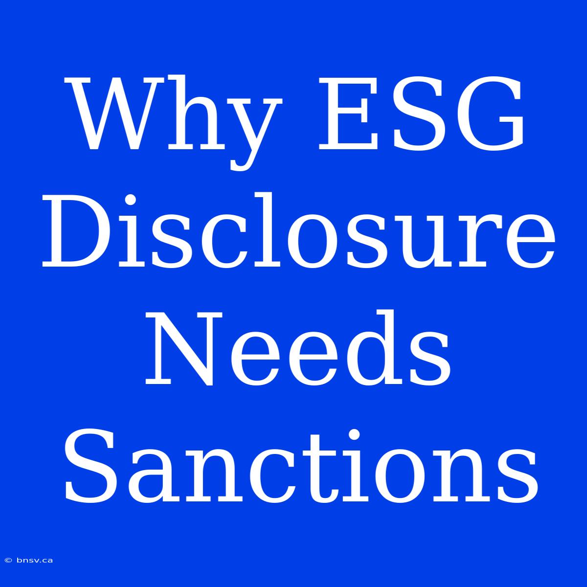 Why ESG Disclosure Needs Sanctions