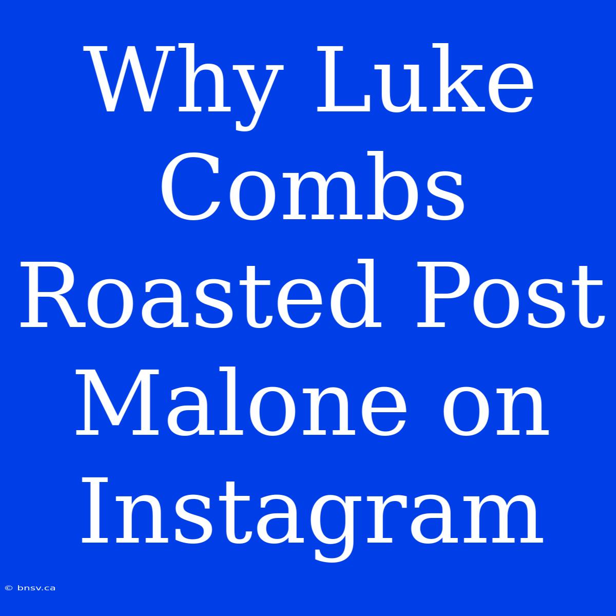 Why Luke Combs Roasted Post Malone On Instagram