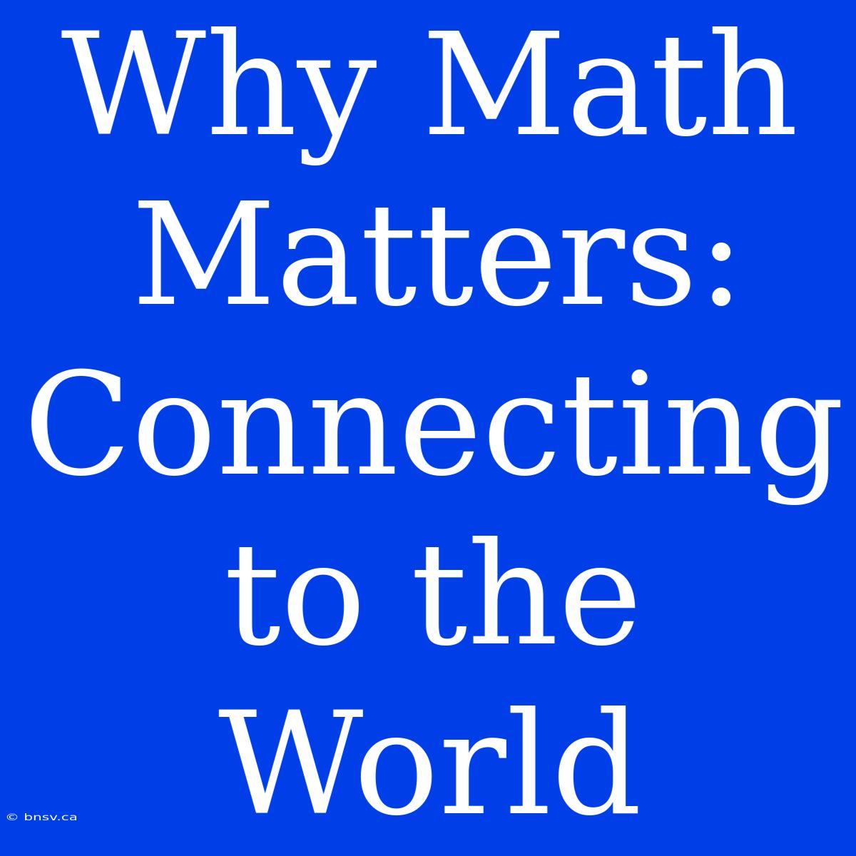 Why Math Matters: Connecting To The World